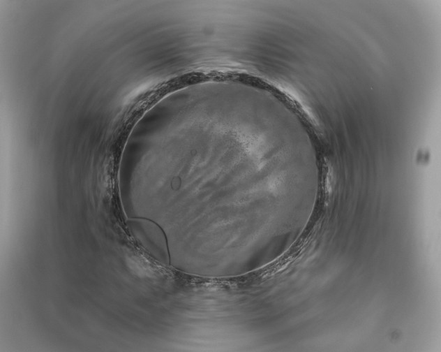 X0000091371063200708101527