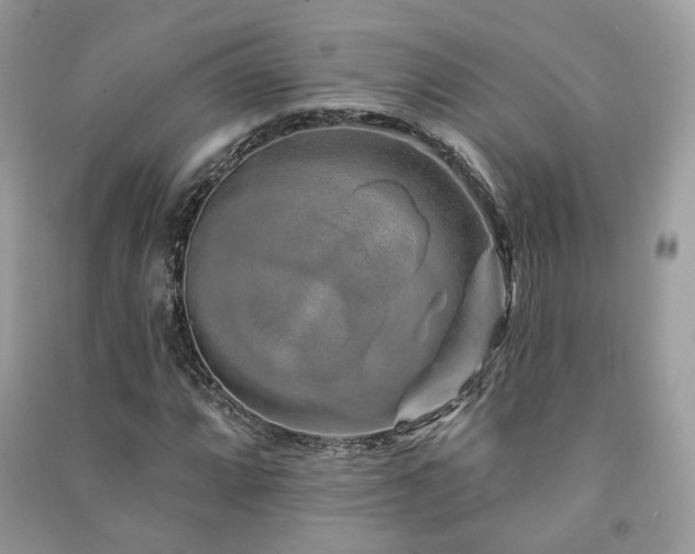 X0000091371064200708101527