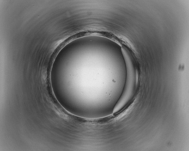 X0000091371065200708101527