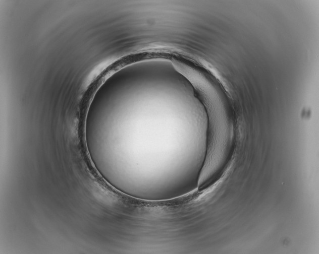 X0000091371066200708101527