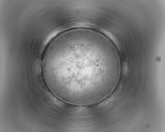 X0000091371067200708101527