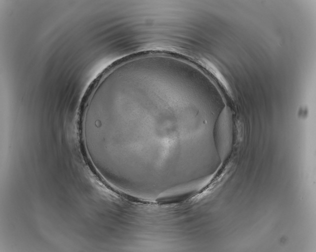 X0000091371068200708101527