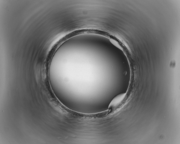 X0000091371069200708101527