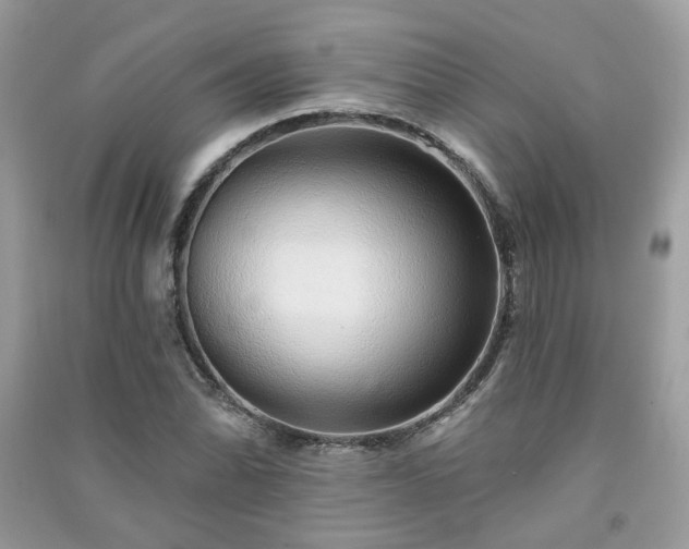 X0000091371070200708101527