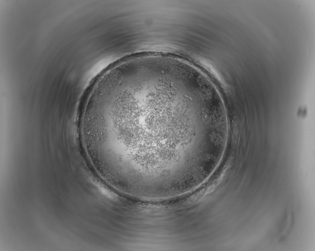 X0000091371071200708101527