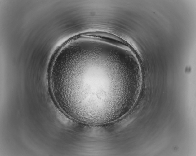 X0000091371072200708101527