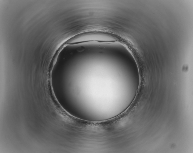 X0000091371073200708101527