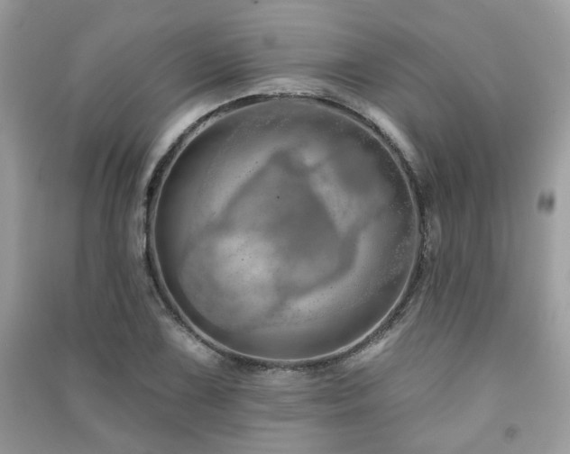 X0000091371075200708101527