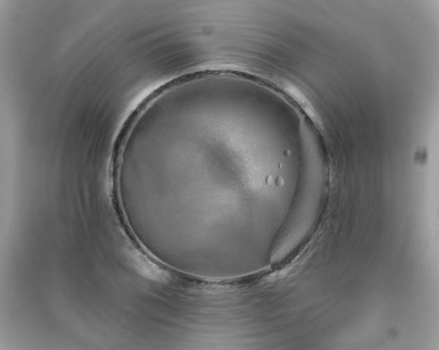 X0000091371076200708101527