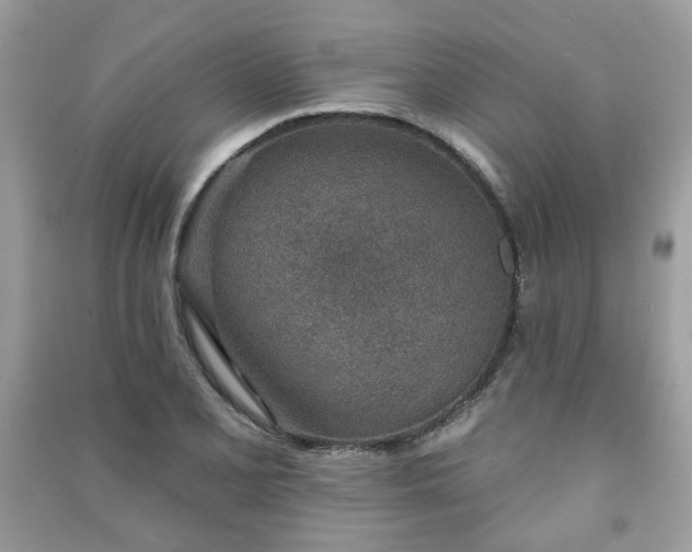 X0000091371077200708101527