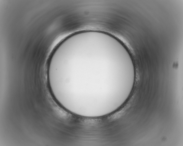 X0000091371078200708101527