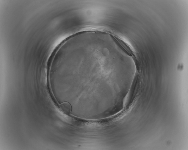 X0000091371079200708101527