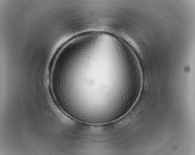 X0000091371080200708101527