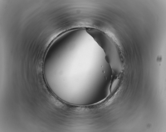 X0000091371081200708101527