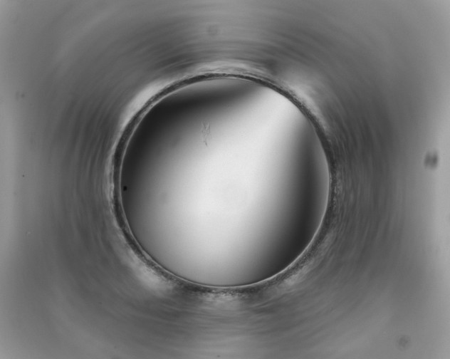 X0000091371082200708101527