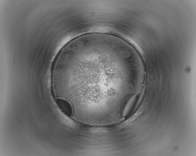 X0000091371083200708101527