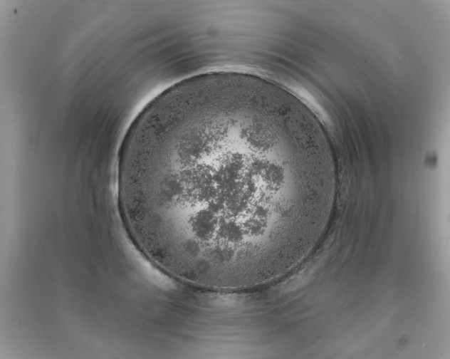 X0000091371084200708101527