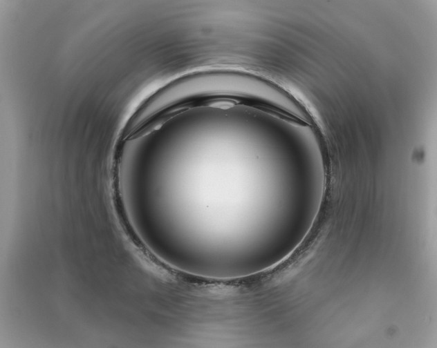 X0000091371085200708101527