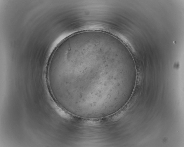 X0000091371086200708101527