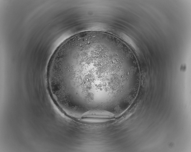 X0000091371087200708101527