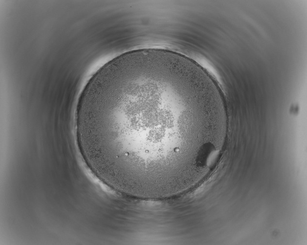 X0000091371088200708101527