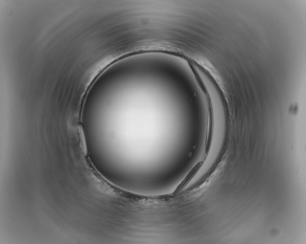 X0000091371089200708101527