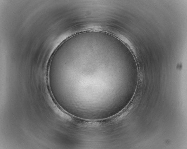 X0000091371090200708101527