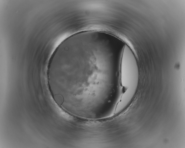 X0000091371091200708101527