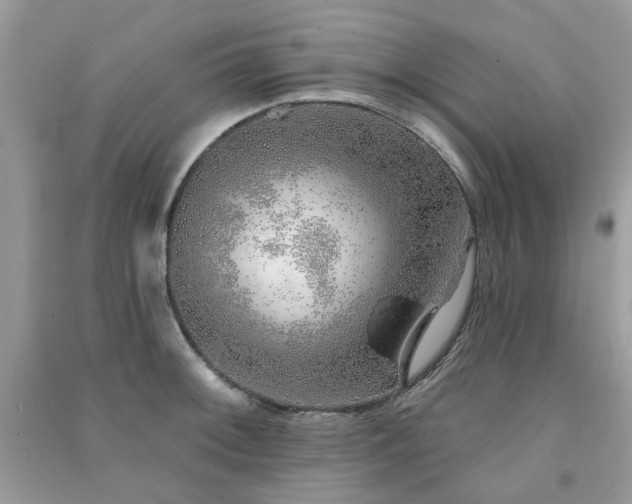 X0000091371092200708101527