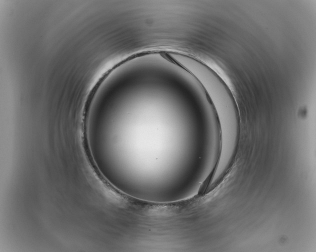 X0000091371093200708101527