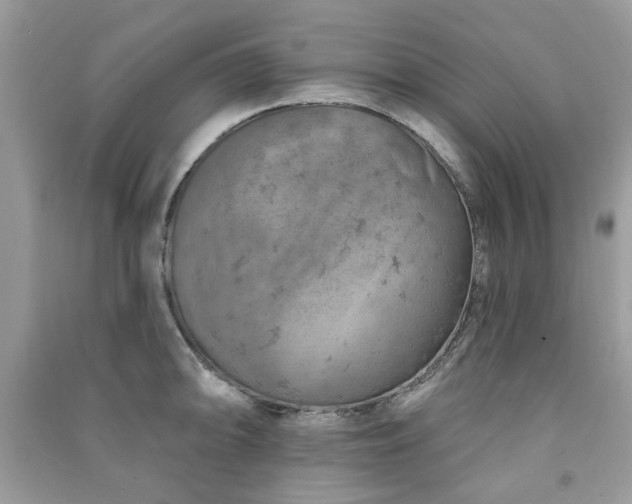 X0000091371094200708101527