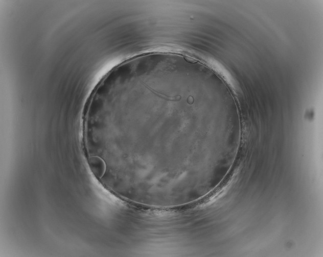 X0000091371095200708101527