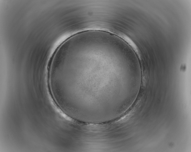 X0000091371096200708101527