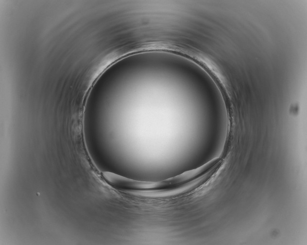 X0000091371097200708101527