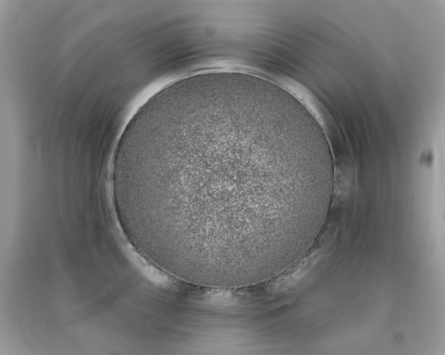 X0000091371098200708101527