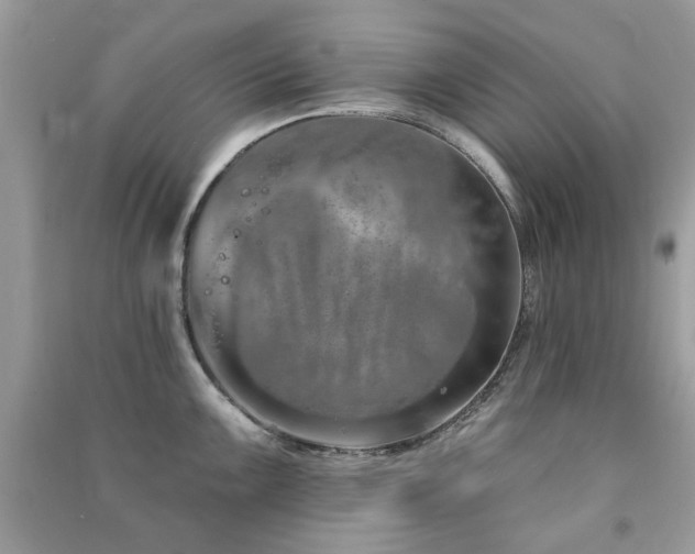 X0000091371099200708101527