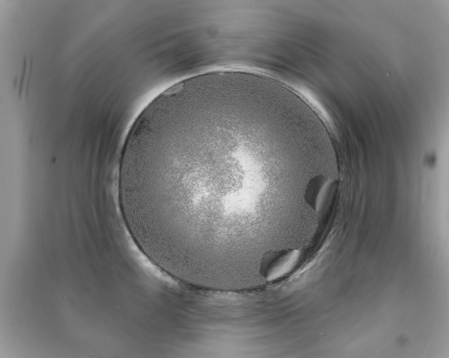 X0000091371100200708101527