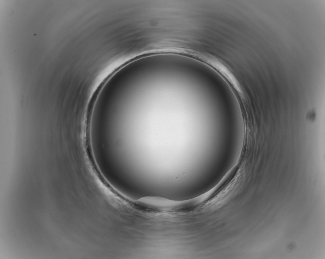 X0000091371101200708101527