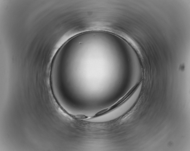 X0000091371102200708101527