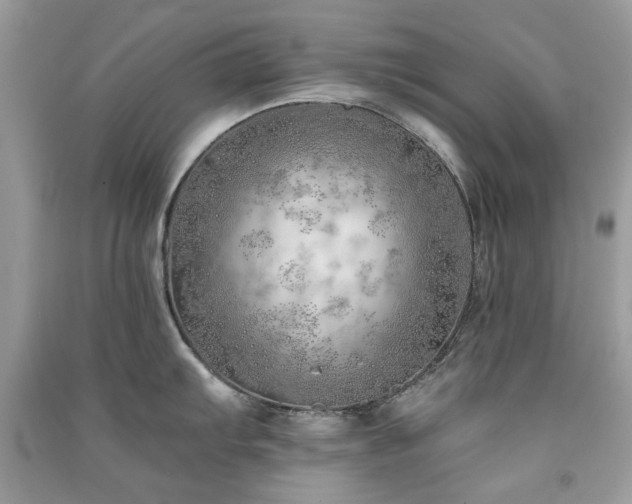 X0000091371103200708101527