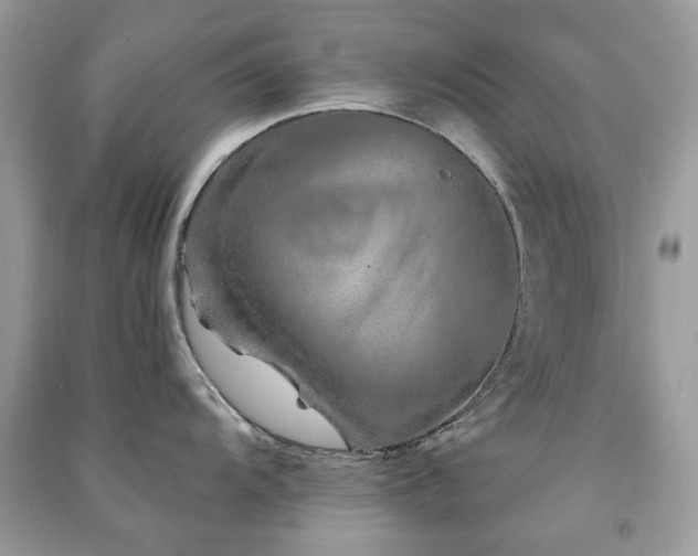 X0000091371104200708101527