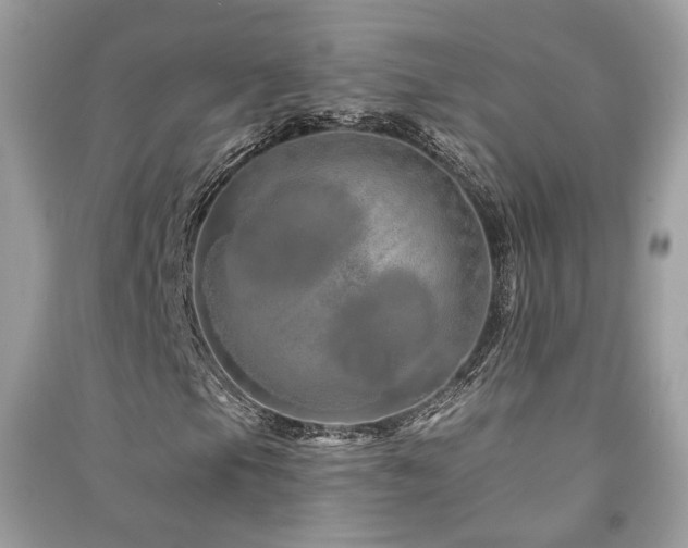 X0000091371105200708101526