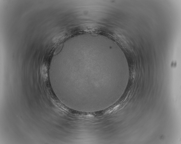 X0000091371106200708101526