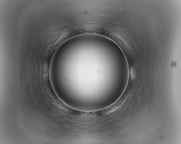 X0000091371107200708101526