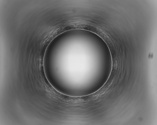 X0000091371108200708101526