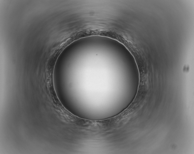 X0000091371109200708101526