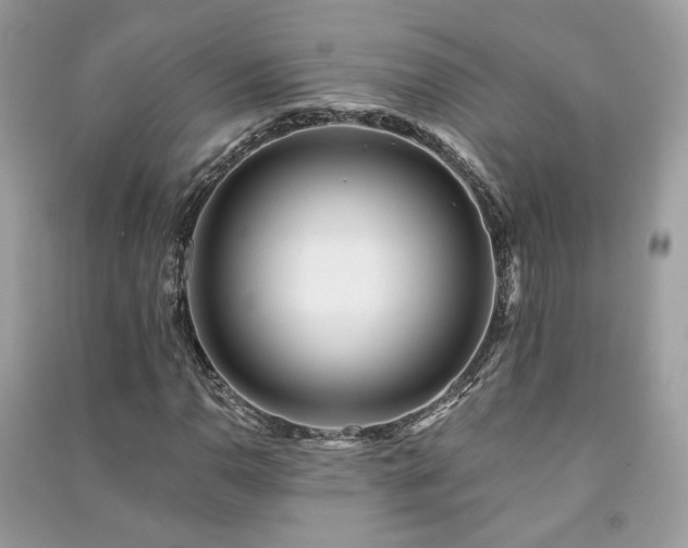 X0000091371110200708101526