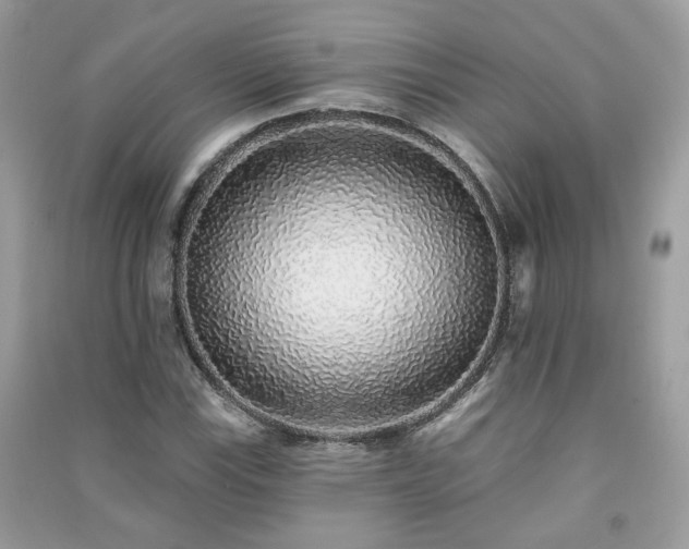 X0000091371115200708101526