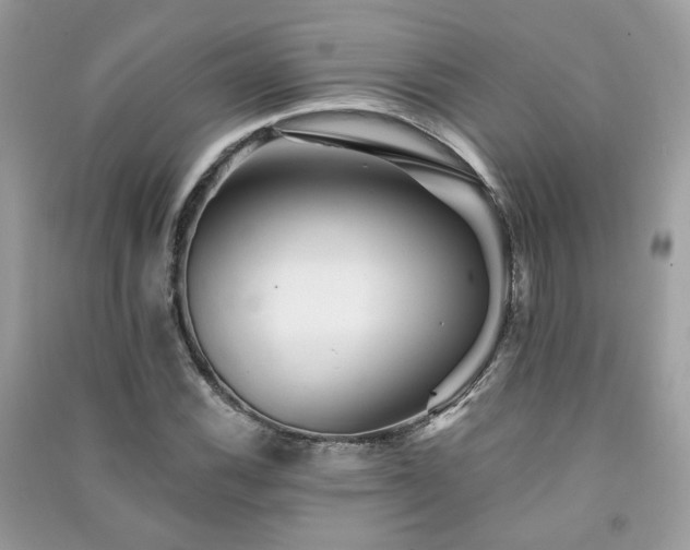 X0000091371116200708101526