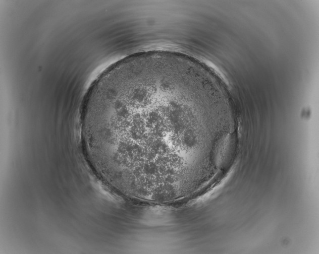 X0000091371117200708101526